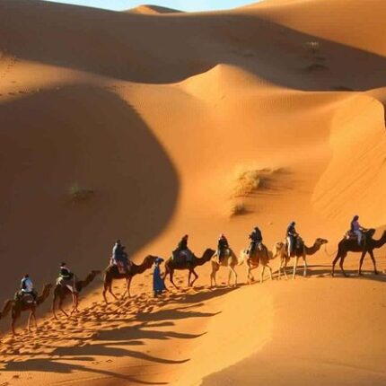 Camel Trek e 1 notte in Campo Tendato